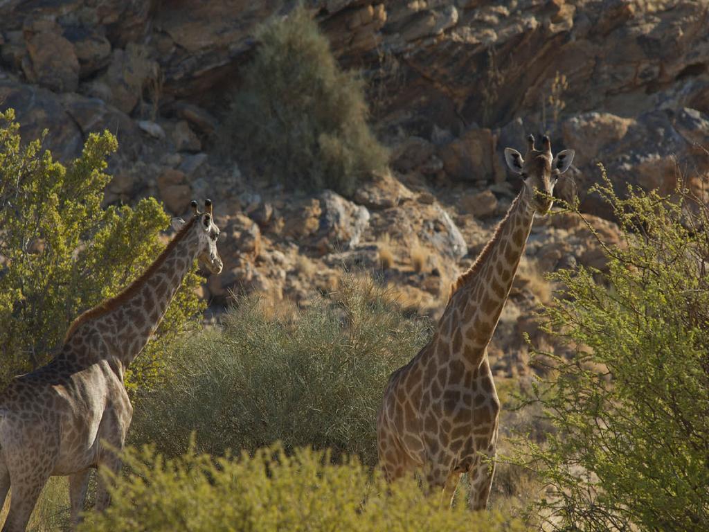 Tutwa Desert Lodge Augrabies Eksteriør billede