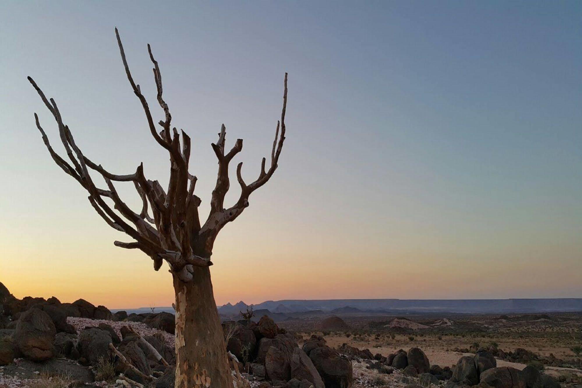 Tutwa Desert Lodge Augrabies Eksteriør billede